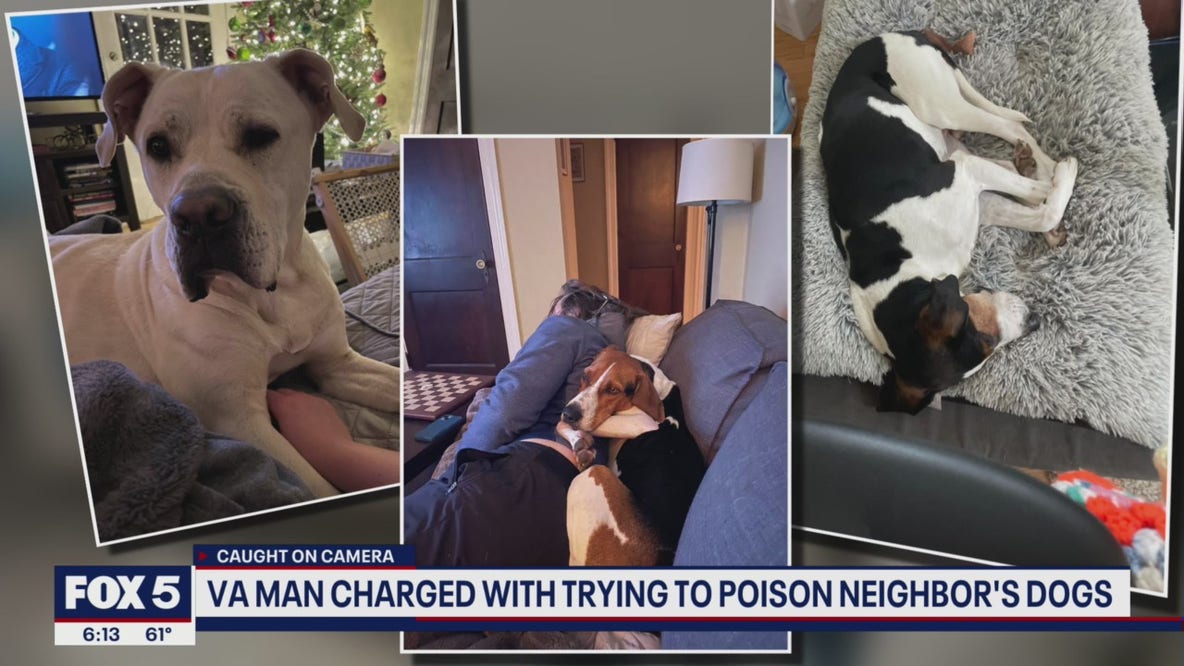 Virginia man charged with trying to poison neighbors' dogs